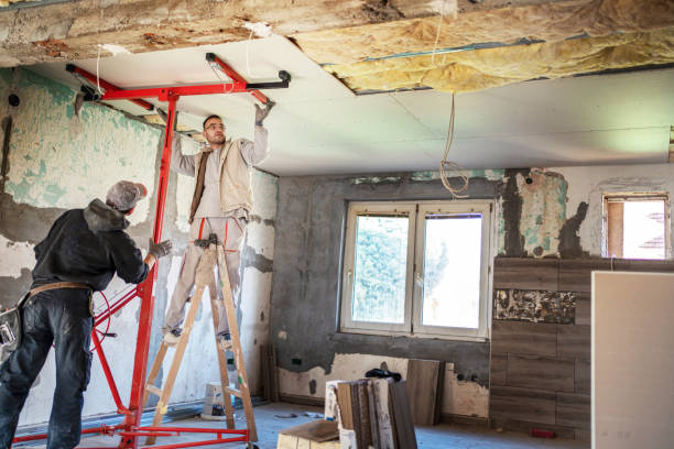 Best Geographic-Specific Insulation Services in Eudora, KS