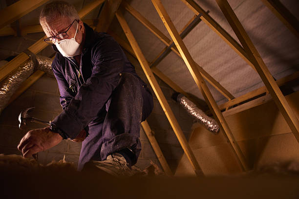 Best Residential Insulation in Eudora, KS
